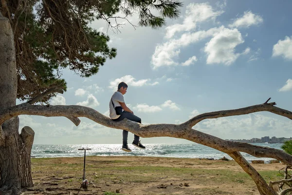 Adolescente Escalando Uma Árvore Contra Céu Azul Frente Mar — Fotografia de Stock