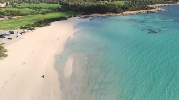 地中海の自然のパラダイスビーチの無人機からのスローモーションの空中ビュー 透明な水と白い砂 バレアレス諸島のサコンマ マリョルカ — ストック動画
