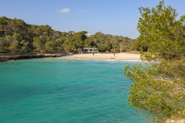 Kristal berrak turkuaz suları ve yemyeşil çevresi olan sakin bir sahil. Cala Mondrago, Mallorca, Balear Adası, İspanya.,