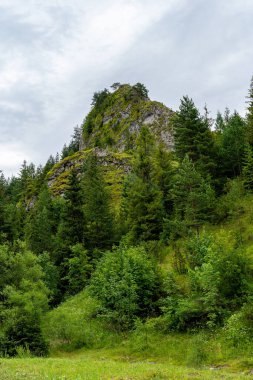 Szczawnica yakınlarındaki Jaworki 'de Doğa Koruma Alanı Biala Woda (Polonya)