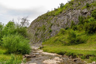 Szczawnica yakınlarındaki Jaworki 'de Doğa Koruma Alanı Biala Woda (Polonya)