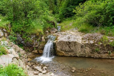 Szczawnica yakınlarındaki Jaworki 'de Doğa Koruma Alanı Biala Woda (Polonya)