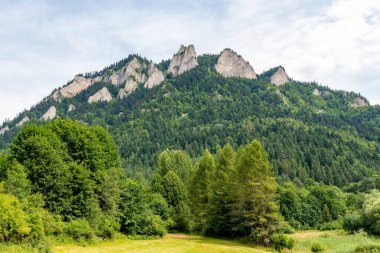 Pieniny 'deki Trzy Dağı (Polonya)