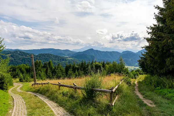 Szczawnica yakınlarındaki Beresnik 'ten Pieniny dağlarına bak (Polonya)