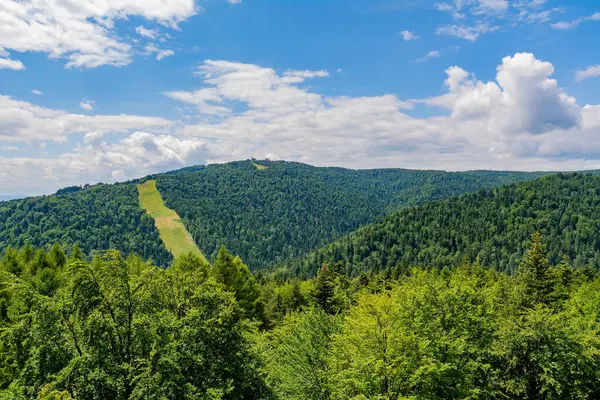 Krinica Zdroj 'daki Jaworzyna Dağı Krynicka (Polonya)