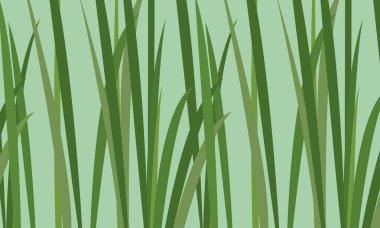 Yeşil Çimen Deseni, Doğal Botanik arkaplan vektörü çizimi.