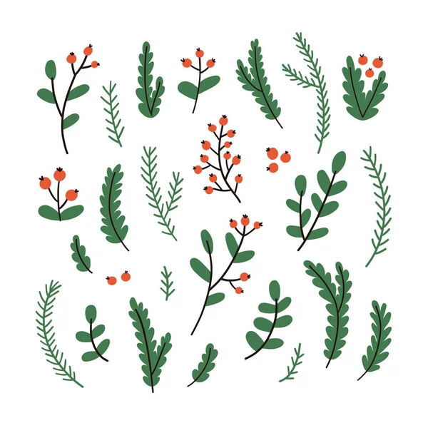 Handgezeichnete Winterzweige Und Blätter Vektorelemente — Stockvektor