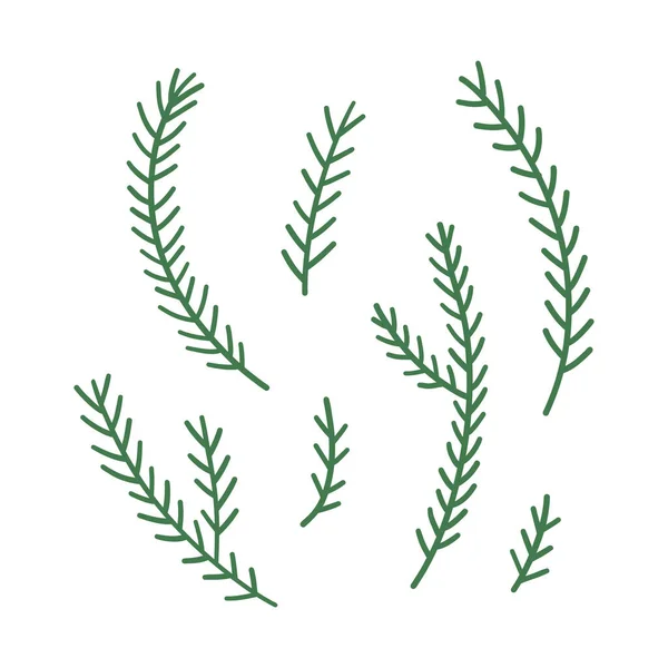 手描きの冬の枝や葉 ベクトル要素 — ストックベクタ