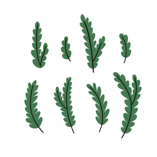 手描きの冬の枝や葉 ベクトル要素 — ストックベクタ
