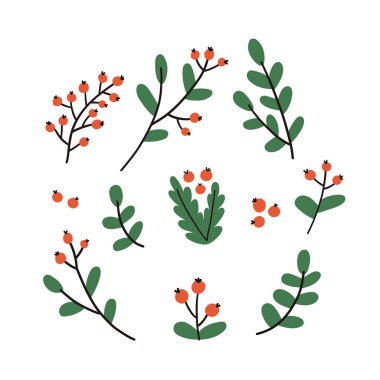 El yapımı kış dalları ve yaprakları. Vektör ögeleri