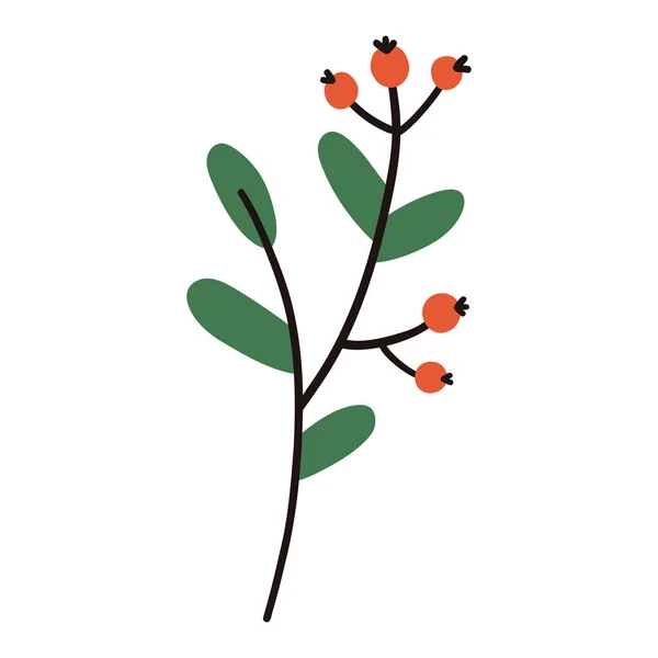 葉と果実を持つ冬の枝 ベクトル要素 — ストックベクタ