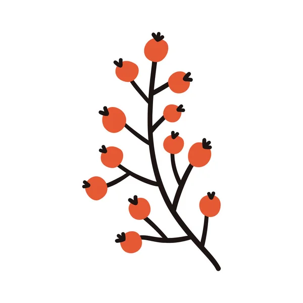 赤い果実を持つ冬の枝 ベクトル要素 — ストックベクタ