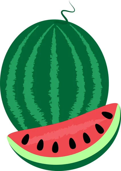 Watermelon Slice Isolated White — Stock Vector