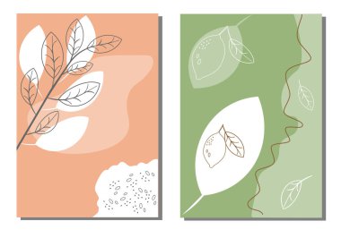 Çiçekler, yeşillikler, bitkiler, soyutlamalar, çizgiler, hatlar. Logo, kartpostal, afiş, poster, vektör ilüstrasyonu için son moda konsept..