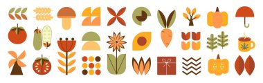Düz geometrik tarzda sonbahar simgeleri. Yapraklar, böğürtlenler, mantarlar, fındık, balkabağı, sebzeler Bauhaus tarzı. Düz simge koleksiyonu. Vektör illüstrasyonu.