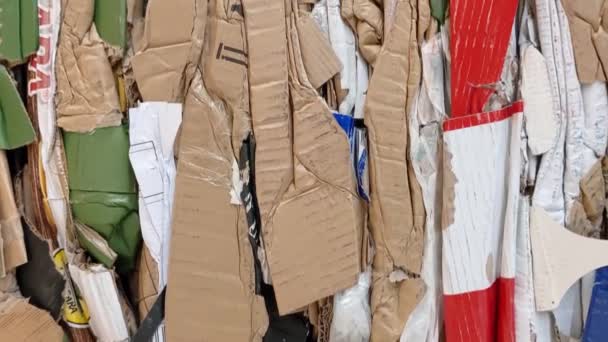 Large Stack Waste Paper Pressed Cardboard Boxes Sorted Packed Paper — Wideo stockowe