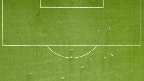 Ποδόσφαιρο Παίκτες Τρένο Για Σκοράρει Ένα Γκολ Στο Γήπεδο Ποδοσφαίρου — Αρχείο Βίντεο