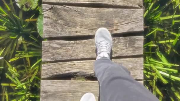 在阳光明媚的夏日 穿着运动鞋和黑色休闲裤的男人或女人沿着生态远足小径的木制甲板在沼泽地中散步 — 图库视频影像