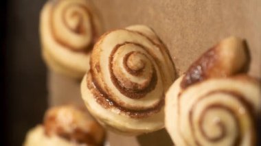 Tarçınlı ev yapımı tatlı çörekler ve maya hamurundan elde edilen şeker fırında pişirme tepsisinde altın kahverengiye kadar pişiriliyor. Ev yapımı fırının dikey hızlandırılmış videosu.