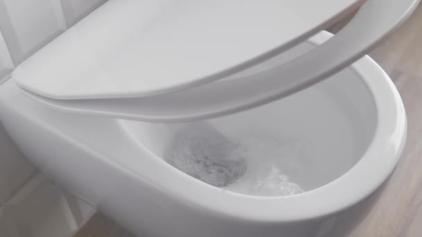 Spola Toaletten Modern Vvs Sänker Och Stänger Mjukt Tillsluten Toalettsits — Stockvideo