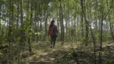 Bir kadın yaprak gibi yaprak gibi, yaprak döken bir ormana gider, mantar arar. Huzurlu, yeşil çevre ve huş ağaçları ormanların yolunu keşfederken huzurlu bir atmosfer yaratıyor..