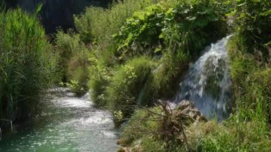 Ünlü Hırvat Plitvice Gölleri Ulusal Parkı 'nda, UNESCO Dünya Mirasları bölgesi olarak listelenen temiz suyu olan bir şelale. Hırvatistan 'da popüler bir doğal turizm merkezi.
