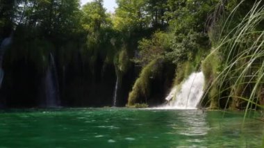 Ünlü Hırvat Plitvice Gölleri Ulusal Parkı 'nda, UNESCO Dünya Mirasları bölgesi olarak listelenen temiz suyu olan bir şelale. Hırvatistan 'da popüler bir doğal turizm merkezi.