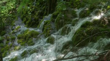 Ünlü Hırvat Plitvice Gölleri Ulusal Parkı 'nda, UNESCO Dünya Mirasları bölgesi olarak listelenen temiz suyu olan bir şelale. Hırvatistan 'da popüler bir doğal turizm merkezi.