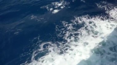 Dalgalar ve deniz köpüğü geminin yüzeyinden su yüzeyine doğru yayılır. Gemi denizin dalgaları üzerinde yelken açar. Açık denizde yelken açmak. Su elementinin gücü ve güzelliği.