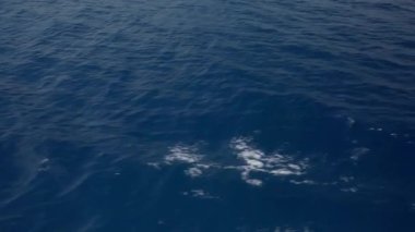 Dalgalar ve deniz köpüğü geminin yüzeyinden su yüzeyine doğru yayılır. Gemi denizin dalgaları üzerinde yelken açar. Açık denizde yelken açmak. Su elementinin gücü ve güzelliği.