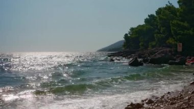 Deniz dalgaları yaz güneşinde ışıldar ve Adriyatik kıyısındaki çam ağaçlarıyla çevrili bir plajın kayalık sahilinde köpüğe dönüşür. Hırvatistan 'ın Brac (Sütyen) adasının çıplak plajı.