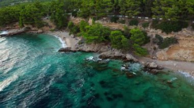 Deniz dalgaları, çam ağaçlarıyla çevrili bir plajın kayalık sahilinde köpüğe dönüşür. Hırvatistan 'ın Brac (Bra) adasının çıplaklar plajı. Adriyatik Denizi kıyısında bir turist tatili.