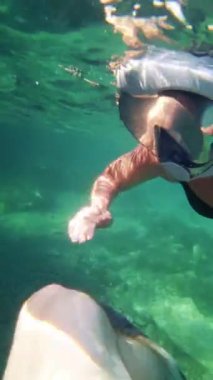 Dalış maskesi takmış bir çift yüzer ve el ele denize dalarlar. Hırvatistan kıyılarındaki bir tatil beldesinde sakin, ılık bir Adriyatik Denizi. Yaz tatili, turizm ve Avrupa 'da seyahat.