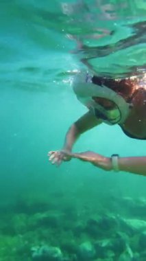 Bir kadın sığ sularda yüzer ve dalarken tam yüzlü bir şnorkel maskesi takar. Hırvatistan kıyılarındaki bir tatil beldesinde sakin, ılık bir Adriyatik Denizi. Yaz tatili, turizm ve Avrupa 'da seyahat.