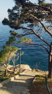Çam ağaçlarının arasındaki tepenin aşağısındaki denize çıkan resim gibi bir merdiven. Hırvatistan 'ın Adriyatik kıyısındaki tatil beldesinin güzel doğal manzarası. Avrupa 'da turizm ve seyahat.