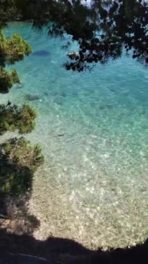 Şeffaf deniz suyu güneşte parıldıyor, kayalıklardan sahili saran çam ağaçlarının dalları arasında görülebiliyor. Hırvatistan 'ın Adriyatik kıyılarının kayalık ve kumlu kumlu plajları.