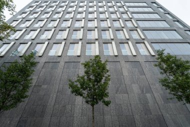 Genç yeşil ağaçlar, heybetli bir taşa karşı yüksek, modern bir şehir binası. Bu kontrast, doğanın 