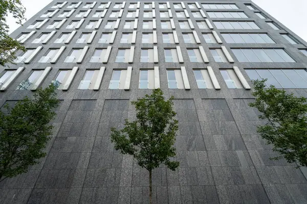 Genç yeşil ağaçlar, heybetli bir taşa karşı yüksek, modern bir şehir binası. Bu kontrast, doğanın 