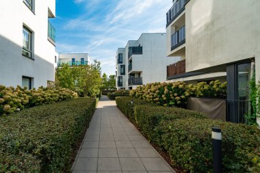 Güneşli bir günde yeni bir konut inşaatının ortak alanı. Bölge sakinleri için asfalt yol yeşil çitler, çiçek açan çalılar ve modern apartmanlarla çevrili..
