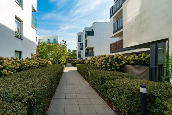 Güneşli bir günde yeni bir konut inşaatının ortak alanı. Bölge sakinleri için asfalt yol yeşil çitler, çiçek açan çalılar ve modern apartmanlarla çevrili..