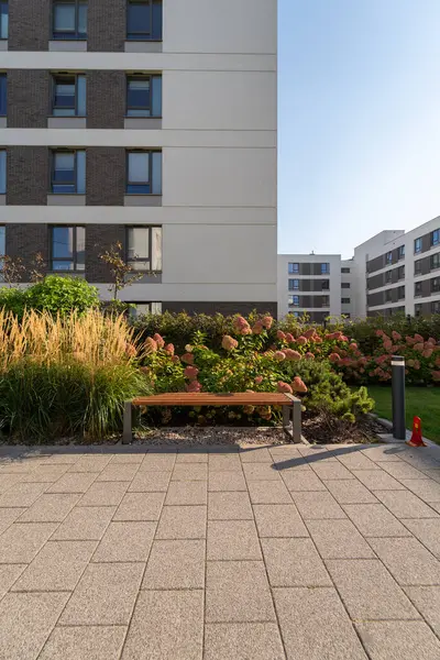 Modern bir kompleks avluda oturma alanı. Ahşap bir bank asfaltlı bir verandada oturur, etrafı süslü otlar ve çiçek açan ortanca çalılarıyla çevrili bahçelerle..