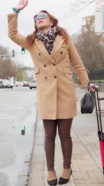 Sinirli kadın, gergin bir şekilde bir şehir caddesinde taksi çağırarak uçağına geç kalıyor. Hüsrana uğramış, bagajı olan, yolculuk yapmaya çalışan, kendini stresli ve sabırsız hisseden yolcu..