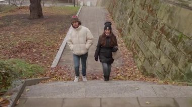 Genç bir çift, şehir parkında taş bir merdivenden çıkıyor. Adam, birlikte yürürken konuşur ve el kol hareketi yapar. Sonbahar yürüyüşleri sırasında romantik bir sohbetin tadını çıkarır..