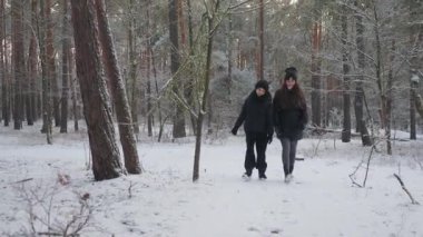 Bir anne ve oğlu, geniş ve manzaralı bir kış ormanında birlikte dolaşır. Aile, karla kaplı ağaçların arasında sessiz doğanın tadını çıkararak yürüyor. Geniş açılı bir aile yürüyüşü..