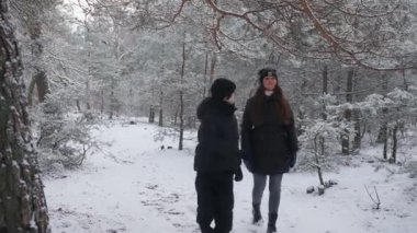 Karlı bir ormanda kış yürüyüşü sırasında oynayan bir anne ve oğul. Anne karlı bir dalı sallamak üzere, ama oğlu devraldı, aile için eğlenceli bir kar sağanağı yarattı..