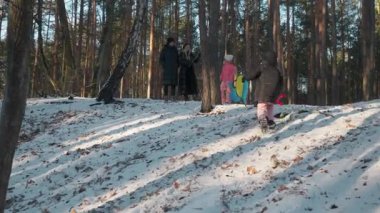 Küçük bir çocuk kış ormanında kızakla kayarken, karlı bir tepeye tırmanırken ve aşağıya kayarken eğleniyor. Aile arka planda durup çocuklarının açık hava tatilinin tadını çıkarmasını izliyor..