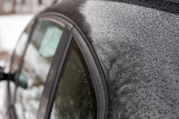 stock image raindrops close-up on the car. erosion of machine metal. maintenance