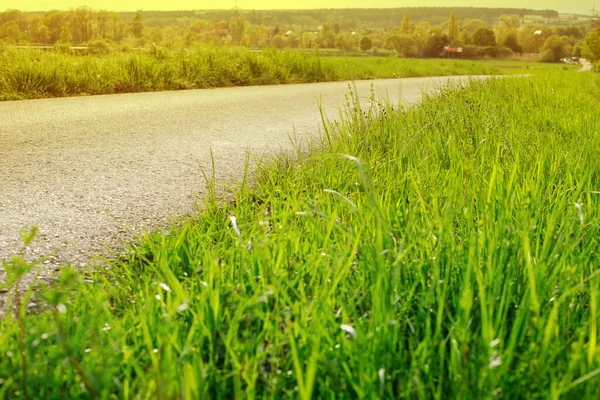 自転車道で見る緑の草の風景 — ストック写真