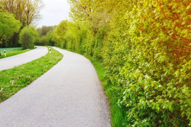 Kırsal bir yol boyunca Sahne Yaya Yolunu Keşfediyor