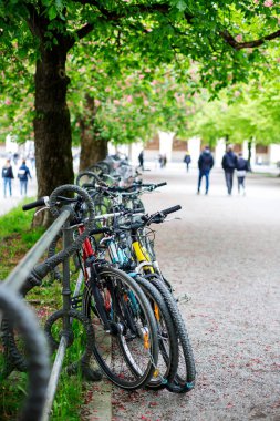 Avrupa 'da bir şehir parkına park etmiş bir sürü bisiklet var.